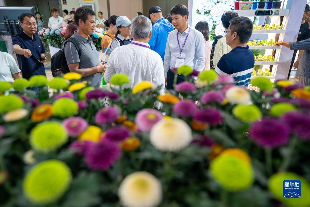 老虎机技巧网址
